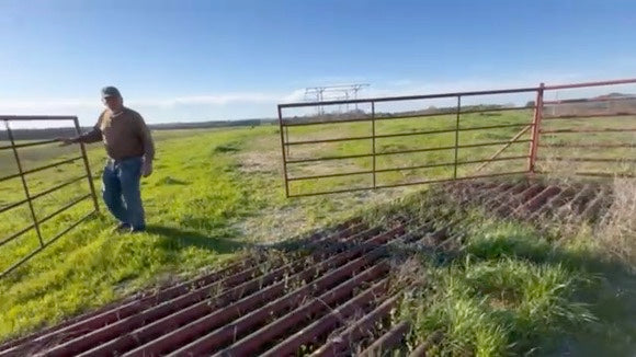 Cattle Guard Steel