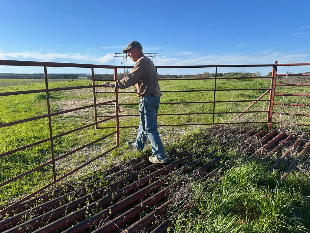 Cattle Guard Steel